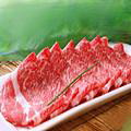 羊前腿羊肉