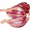 小腿牛肉
