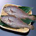 鮸鱼