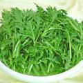 茼蒿