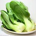 青菜