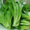 油麦菜