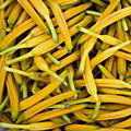 金针菜