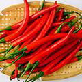 小红尖辣椒