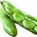 蚕豆