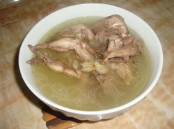 洋参鸽子汤的做法