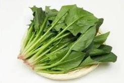 茎叶类